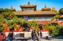 14-Day Small-Group Tour to Beijing, Xi'an, Chengdu, Yangtze, Chongqing, Shanghai