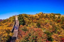 11-Day Small-Group China Tour: Beijing, Xi'an, Yangtze Cruise and Shanghai