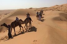 Desert Sunset Adventure with Camel Ride and Horse Riding