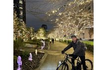 Tokyo Guided E-Bike Tour Hidden Streets and Local Neighborhoods