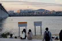 Tradition Meets Trendy Seoul: Palace, Ikseon-dong, Han River Tour