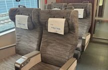 VIP Pandas & Leshan Buddha Private Tour by Bullet Train