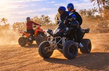 90min Quad Tour Djerba East Mezraya, Ghizen Sidi Mahrez