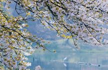Hangzhou Private & Expert Tour Guide Service