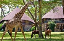 Crescent Island Naivasha Day Tour from Nairobi