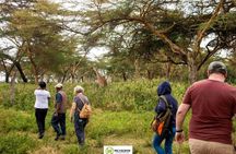 Crescent Island Naivasha Day Tour from Nairobi