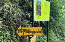 Shivapuri Day Hike from Kathmandu: Forest & Himalayan Views