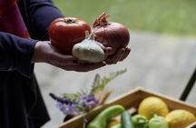 Athens Cooking Class in a Garden with Optional Market Tour