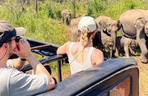 Minneriya premium Elephant Safari with expert Guide