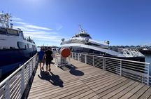 Robben Island Tour with Pre Booked Tickets and Transfers