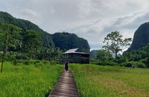 The Hidden Karst Paradise of Rammang-Rammang South Sulawesi