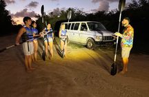 BioBay Experience at ViequesBrightes BioBay