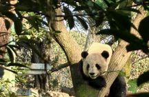 Shanghai Private Tour : Zhujiajiao Water Town with Boat & Garden