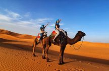 Camel Trek in Merzouga and Overnight in a luxury Desert Camp