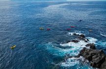 Kayak and Snorkeling Far Away From The Crowds, max. 6 people