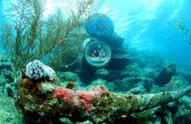 Ocean Lens - Guided Tour at Curaçao Sea Aquarium