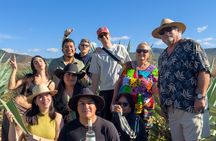Experiencia: Mezcal, Pulque y tradición Oaxaqueña