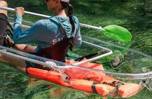 Clear Kayak Three Sisters Springs Guided Summer Swim Tour