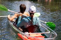 Clear Kayak Three Sisters Springs Guided Summer Swim Tour