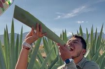 Experiencia: Mezcal, Pulque y tradición Oaxaqueña