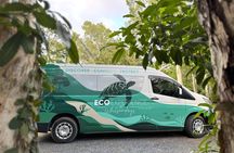 Eco HQ Experience Sea Turtle Rescue and Marine Conservation