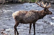 Rocky Mountain Escape - Private Tour