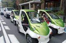 Official Tokyo Shibuya : KIMONO Dressed EV-Go Kart Activity Tour
