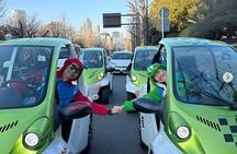 Official Tokyo Shibuya : KIMONO Dressed EV-Go Kart Activity Tour