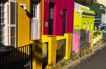 Table Mountain Cape Point Penguin Groot Constantia Private Tour