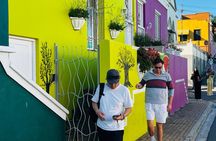 Table Mountain Cape Point Penguin Groot Constantia Private Tour