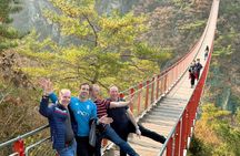 DMZ: Explore 3rd Tunnel & Nature Walk on Suspension Bridge