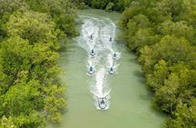 Phuket 9 Stop Jet Ski Tour with Meal & Pick up-Price for 1 Jetski