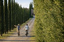 Val d'Orcia: eBike Tour Virtual-guided