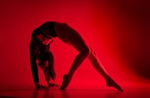 Eros Cabaret Show: Erotic Dances from Around the World