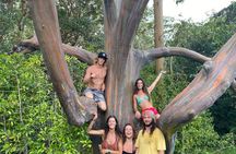 Half Day Private Road to Hana Tour with Pickup