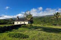 Private Road to Hana Tour with Pickup-Ultimate Package, Backside