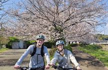 Fuji City: Mount Fuji Scenic E-Bike Tour