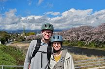 Fuji City: Mount Fuji Scenic E-Bike Tour