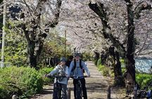 Mount Fuji Scenic EBike Tour for Cruise Travelers