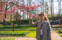 From Amsterdam: Keukenhof Ticket, Transfer & Live Guide Option