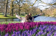 From Amsterdam: Keukenhof Ticket, Transfer & Guide