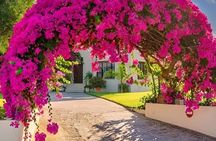 Best Olympia Tour for Cruise Passengers from Katakolon Port