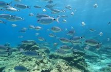 Discover Scuba Diving in Protaras - Private + Photos & Videos