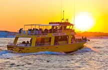 Dolphin & Sunset Cruises
