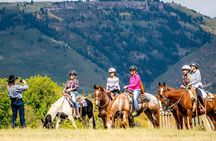 1 Hour Horseback Ride