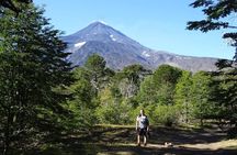 Andean Lakes Day Trip Villarrica National Park