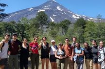 Andean Lakes Day Trip Villarrica National Park