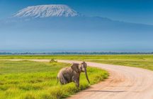 1 Night 2 Days Safari to Amboseli National Park