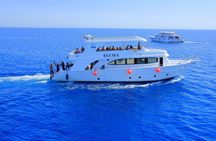 Ras Mohammed & White Island VIP Boat with Snorkeling and Diving