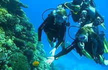 Ras Mohammed & White Island VIP Boat with Snorkeling and Diving